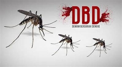 Musim Penghujan Tiba, Waspada DBD di Lingkungan Kita